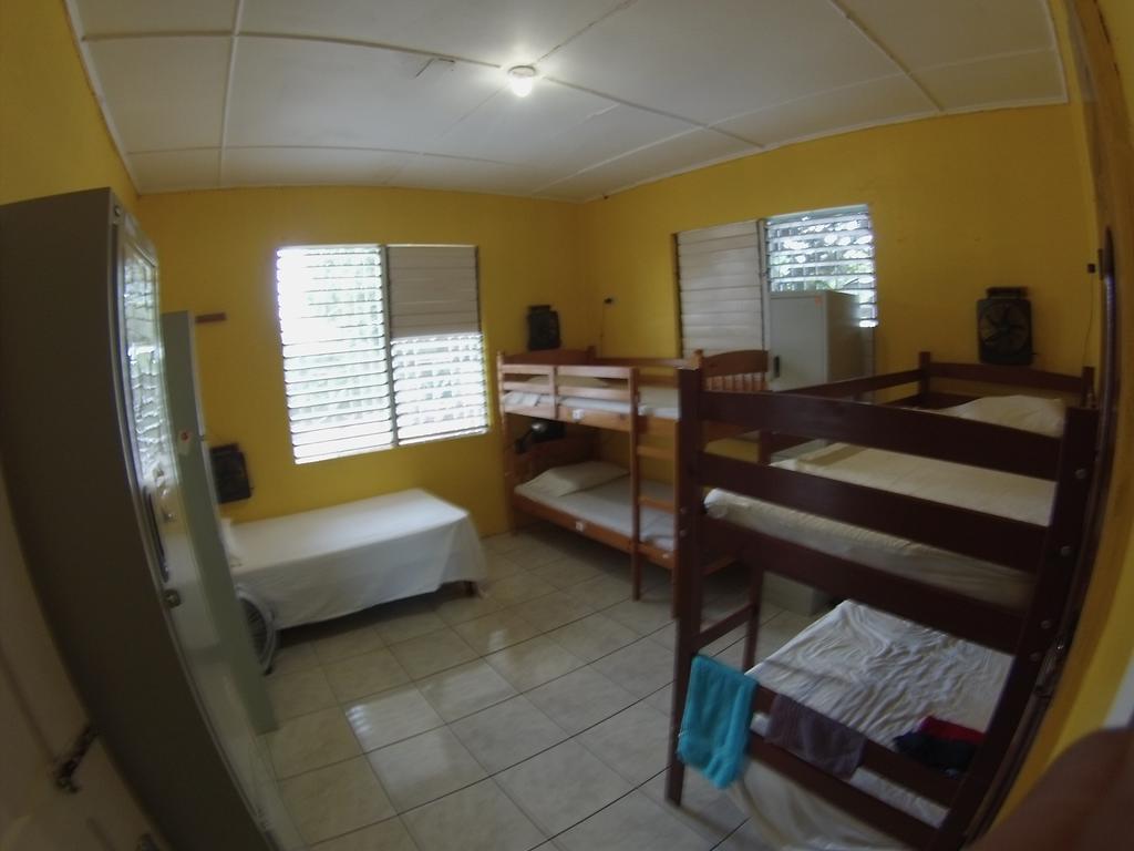 Reggae Hostel Kingston Habitación foto