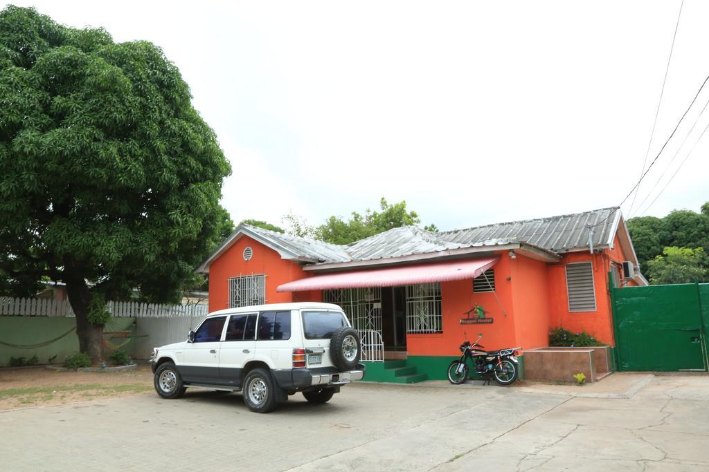 Reggae Hostel Kingston Exterior foto