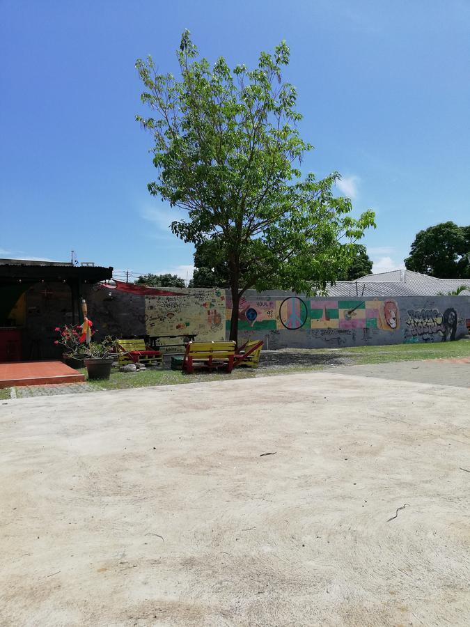 Reggae Hostel Kingston Exterior foto