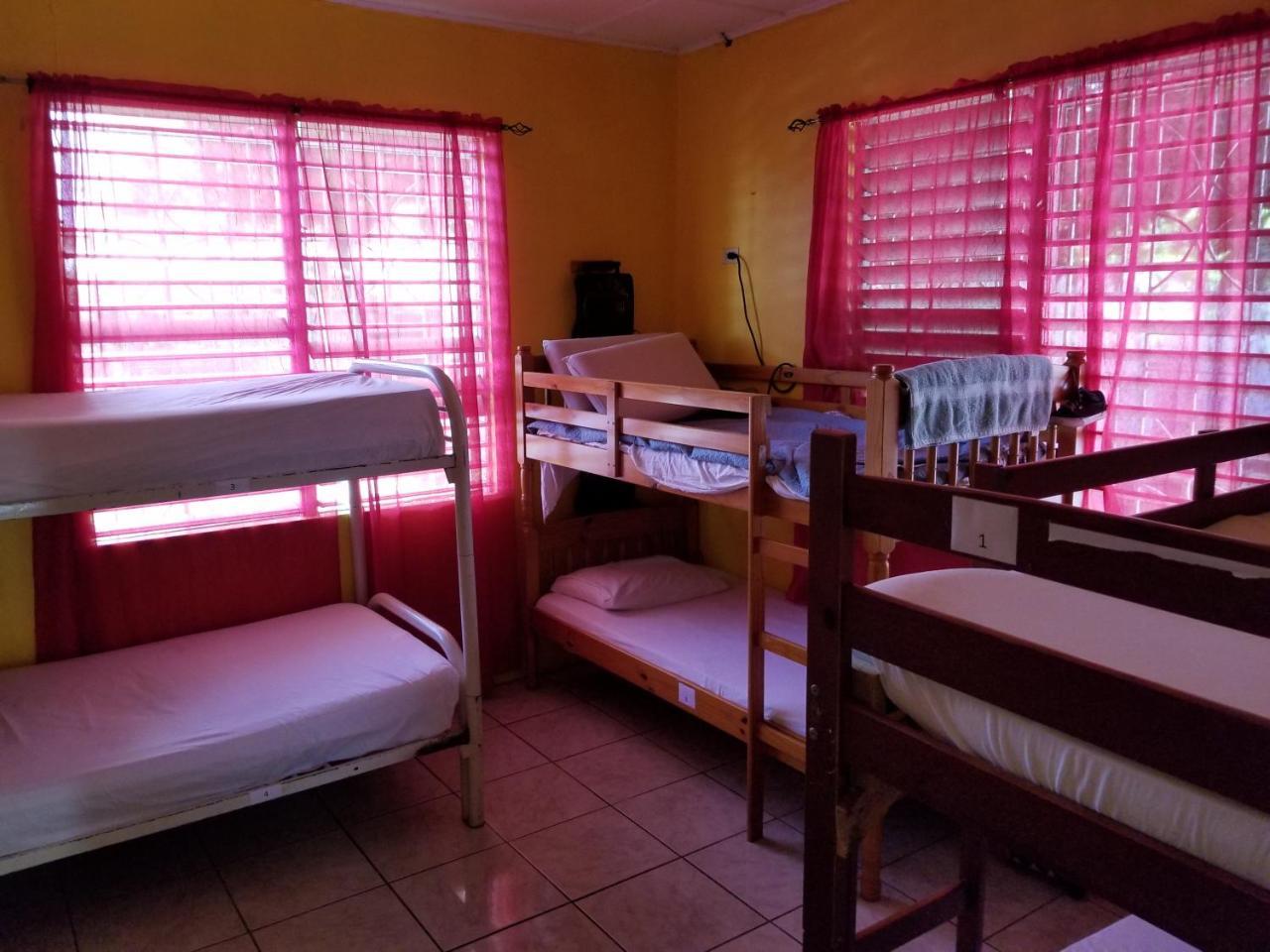 Reggae Hostel Kingston Exterior foto
